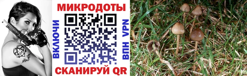 купить сайты Урай Галлюциногенные грибы мухоморы