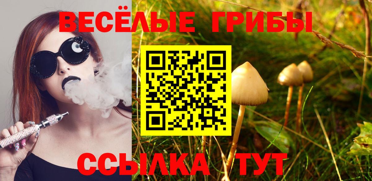 Галлюциногенные грибы мухоморы Урай